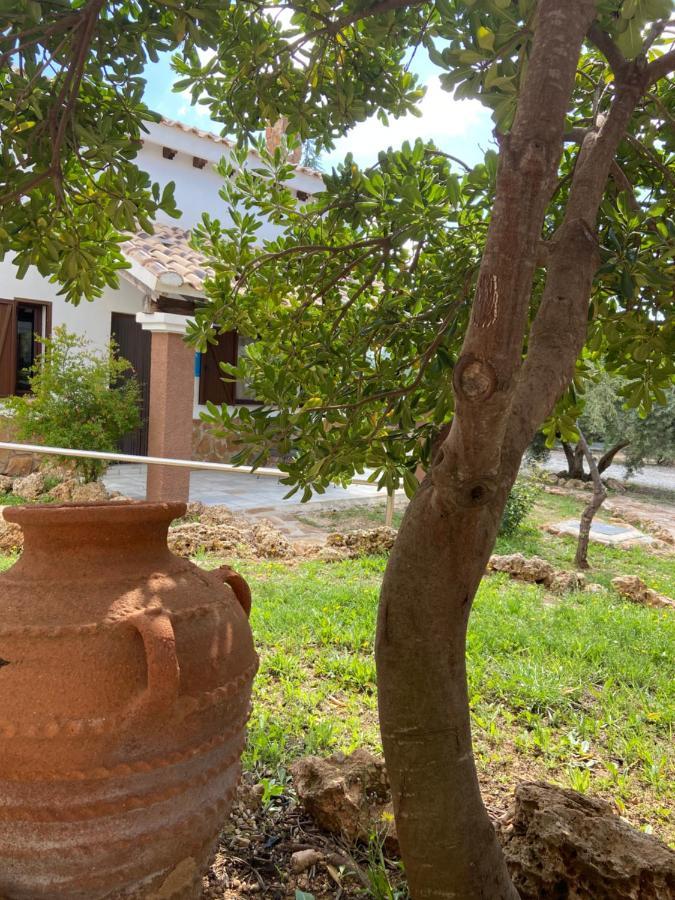 Complejo Rural Ibipozo Pensionat Pozo Alcón Eksteriør billede